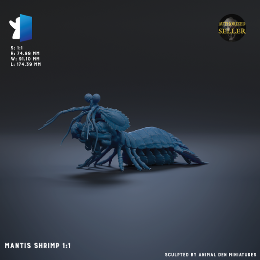 a blue shrimp, specifically a Mantis shrimp, with its legs spread out in a crawling position.