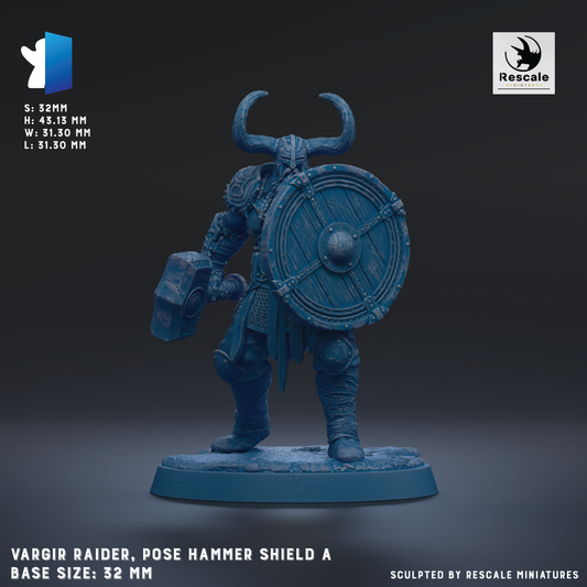 A 3D model of a Viking RAIDER, posing with a hammer shield, against a dark background.