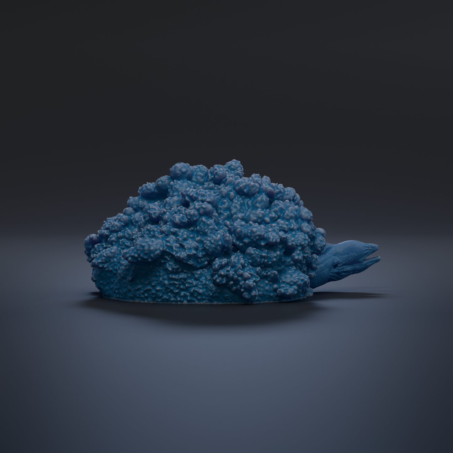 A blue, textured object resembling a small, organic shape resembling a sea creature or plant.