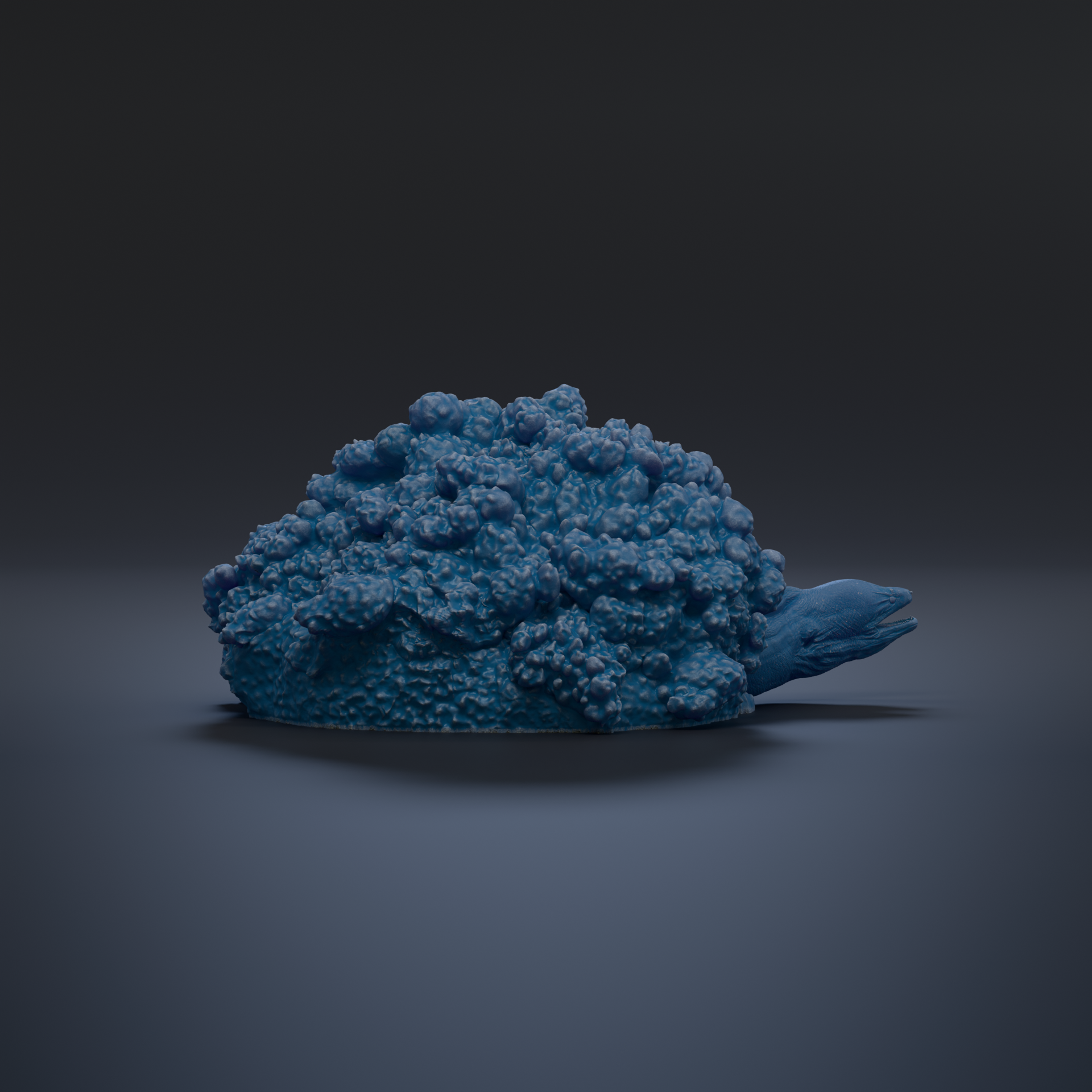A blue, textured object resembling a small, organic shape resembling a sea creature or plant.