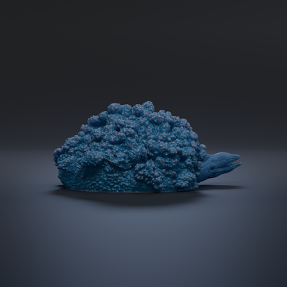 A blue, textured object resembling a small, organic shape resembling a sea creature or plant.