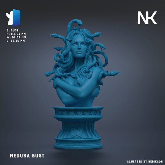 a bust of a woman with snakes wrapped around her neck, depicted in a blue color.