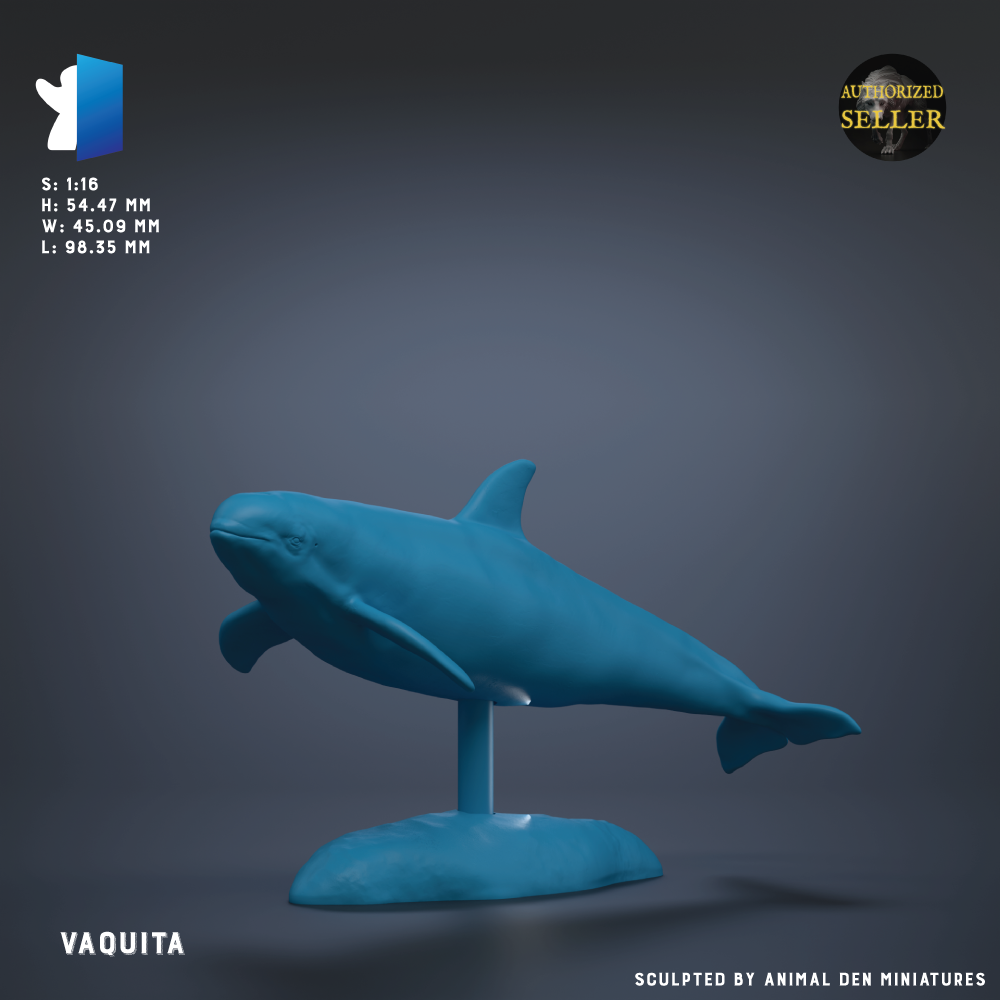 a blue whale sculpture on a stand, with the text "Vaquita" below it.