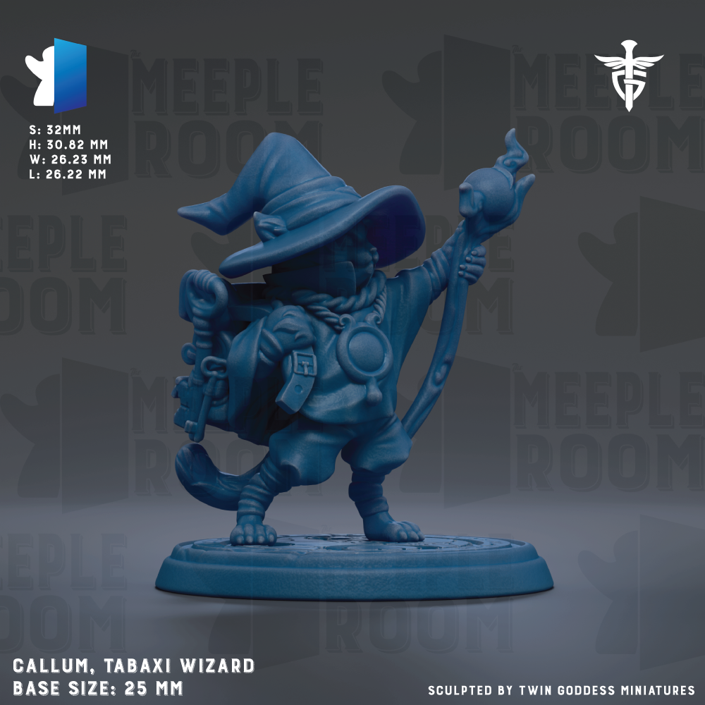 The image is a 3D model of a wizard character, specifically a TABAXI WIZARD, with a base size of 25mm.