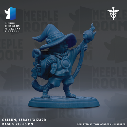 The image is a 3D model of a wizard character, specifically a TABAXI WIZARD, with a base size of 25mm.