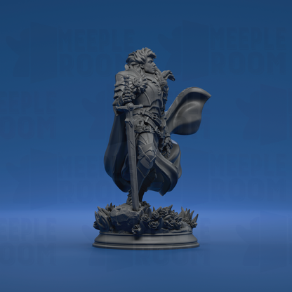 Prince Charming, Noble Knight by DM Stash | Miniature | TTRPG | Unpainted | Print on Demand