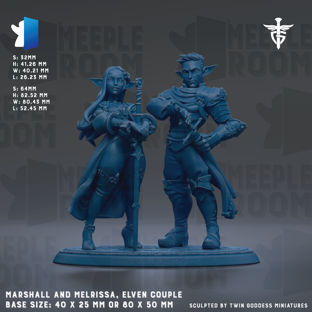 two blue figurines of a male and female character, likely representing a male and female couple, with the male character holding a sword and the female character holding a staff. The figurines are set against a dark background with the text "MEEPLE ROOM" visible. The base size of the figurines is 40 x 25 mm or 80 x 50 mm.