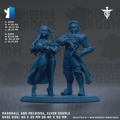 two blue figurines of a male and female character, likely representing a male and female couple, with the male character holding a sword and the female character holding a staff. The figurines are set against a dark background with the text "MEEPLE ROOM" visible. The base size of the figurines is 40 x 25 mm or 80 x 50 mm.
