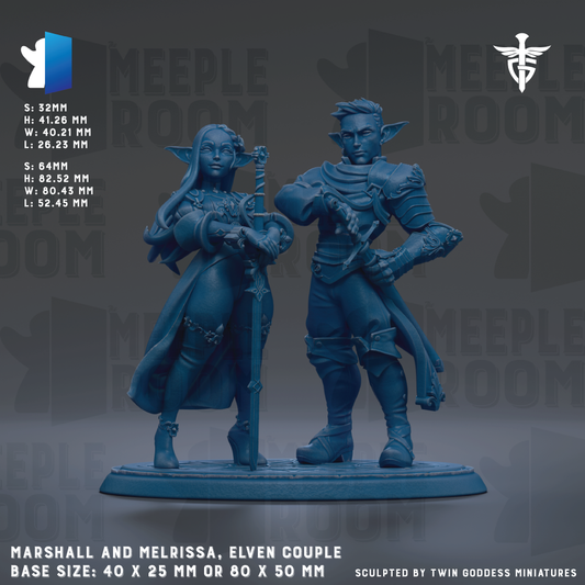 two blue figurines of a male and female character, likely representing a male and female couple, with the male character holding a sword and the female character holding a staff. The figurines are set against a dark background with the text "MEEPLE ROOM" visible. The base size of the figurines is 40 x 25 mm or 80 x 50 mm.