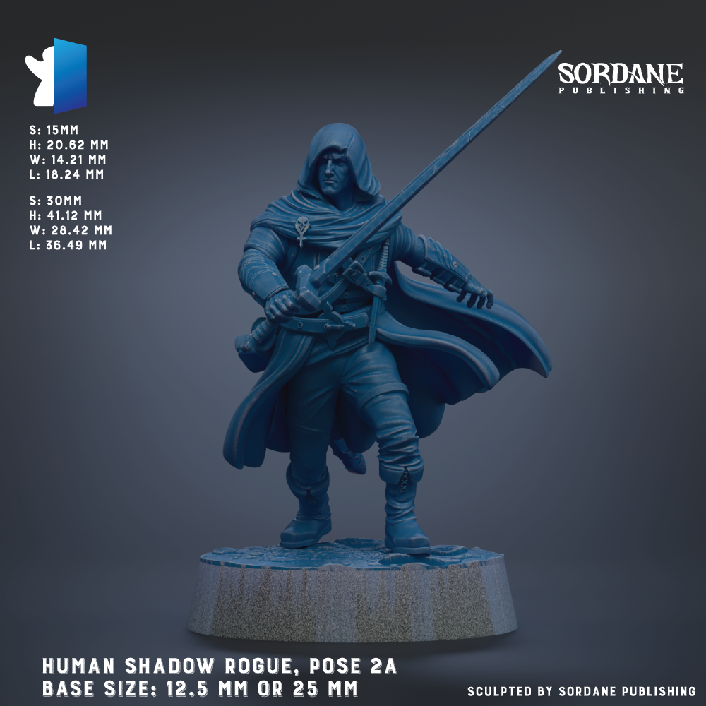 The image is a 3D rendering of a human shadow pirate pose, featuring a figure holding a sword and standing on a pedestal.