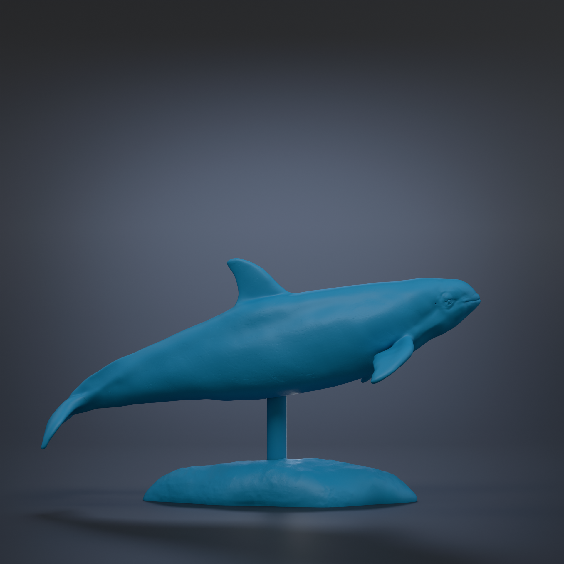 A blue plastic model of a dolphin is displayed on a blue base against a dark background.