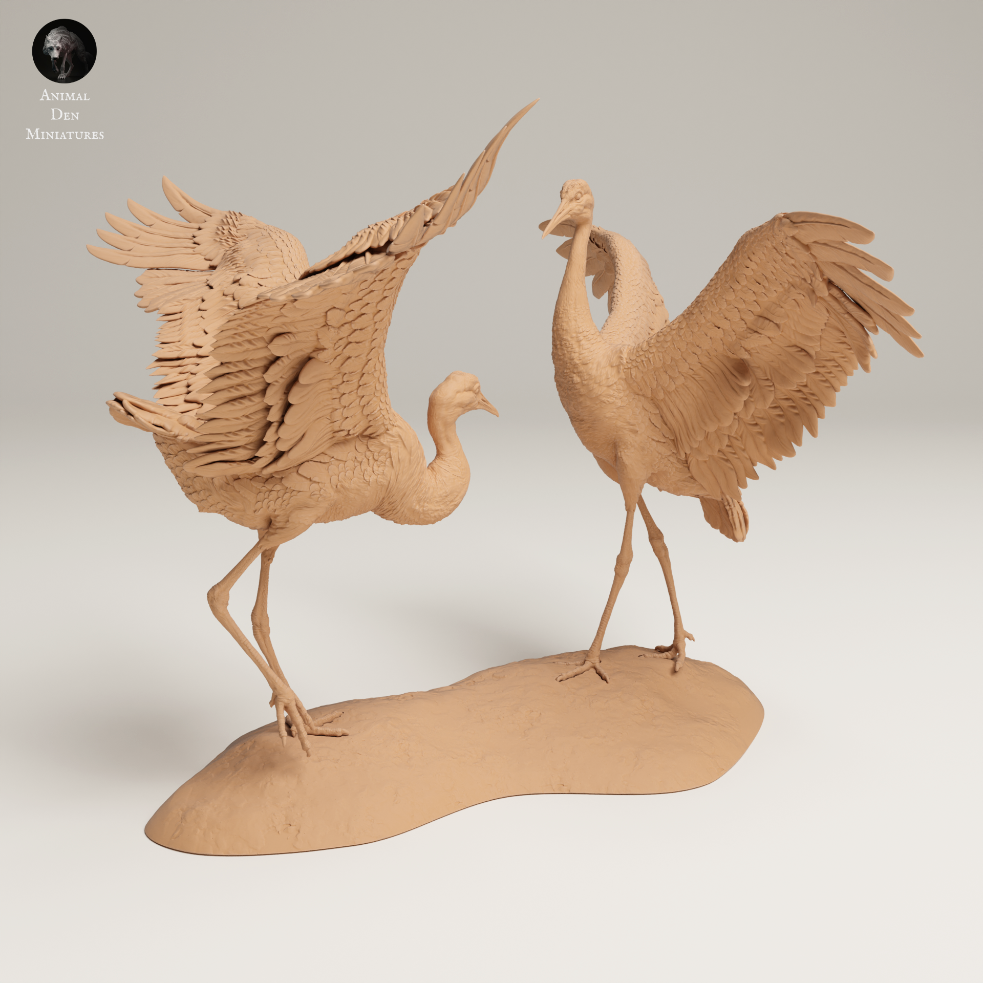 a couple of birds standing on top of a sandy beach