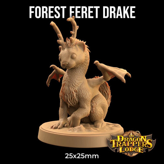 Forest Ferret Drake by Dragon Trappers Lodge | Please Read Description