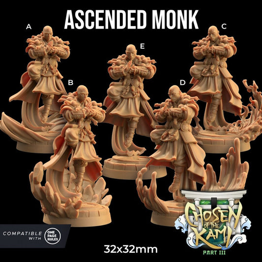 Ascended Monk by Dragon Trappers Lodge | Please Read Description