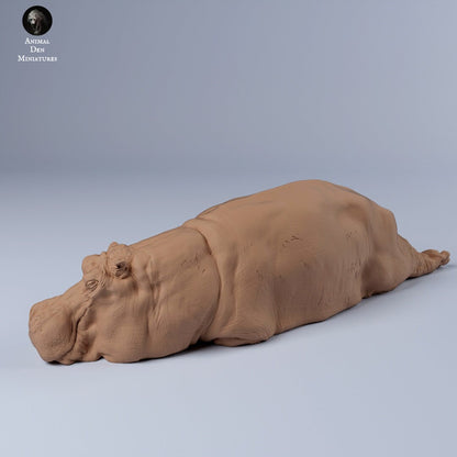 Hippopotamus 1:24 scale by Animal Den | Please Read Description