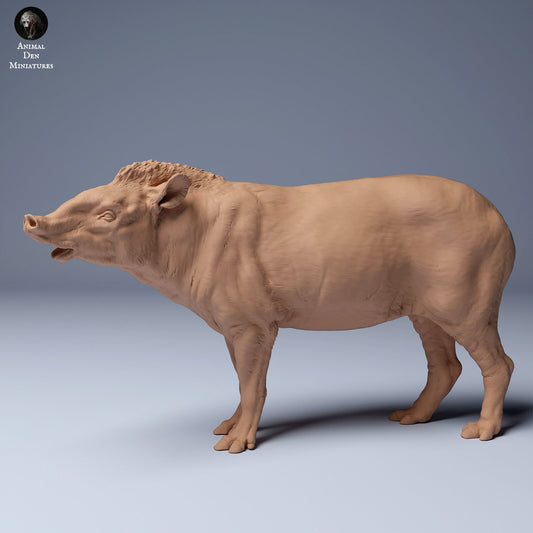 South American Tapir 1:24 scale by Animal Den | Please Read Description