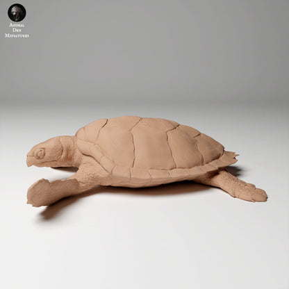 Hawkbill Sea Turtle 1:16 by Animal Den | Please Read Description