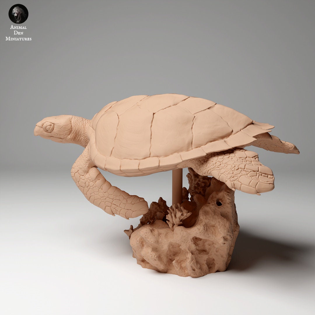 Hawkbill Sea Turtle 1:16 by Animal Den | Please Read Description