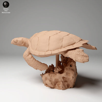 Hawkbill Sea Turtle 1:16 by Animal Den | Please Read Description