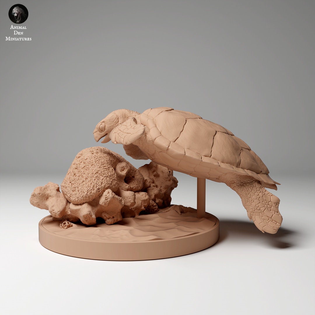 Hawkbill Sea Turtle 1:16 by Animal Den | Please Read Description