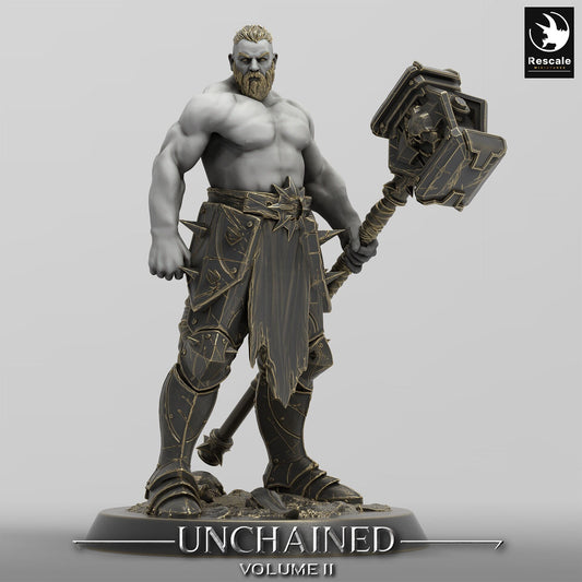 Unchained Hammer Rangers by Rescale Miniatures | Please Read Description