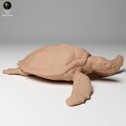 Hawkbill Sea Turtle 1:16 by Animal Den | Please Read Description