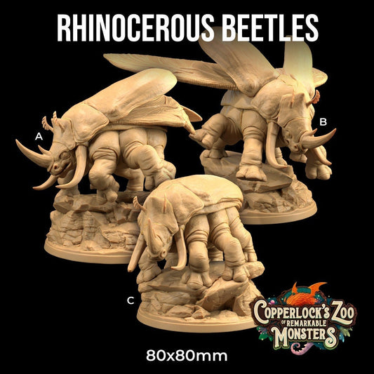 Rhinoceros Beetles by Dragon Trappers Lodge | Please Read Description