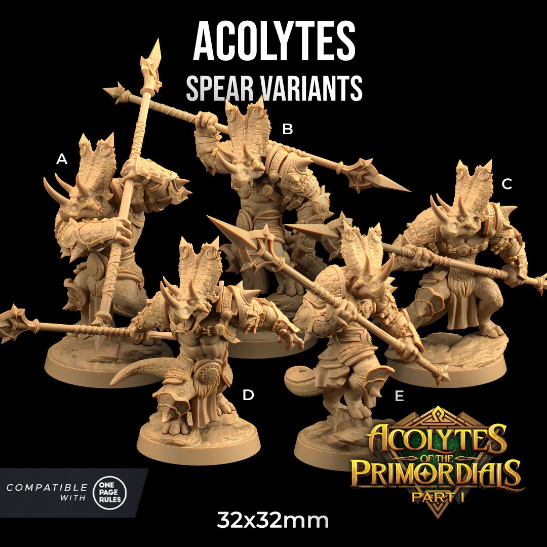 Acolytes of the Primordials by Dragon Trappers Lodge | Please Read Description