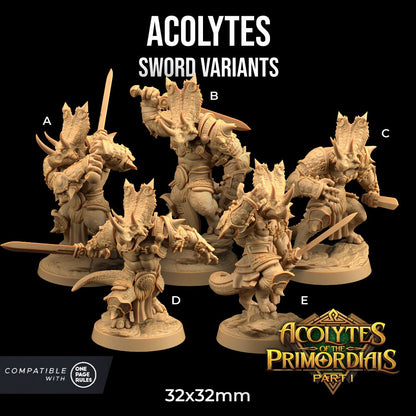 Acolytes of the Primordials by Dragon Trappers Lodge | Please Read Description