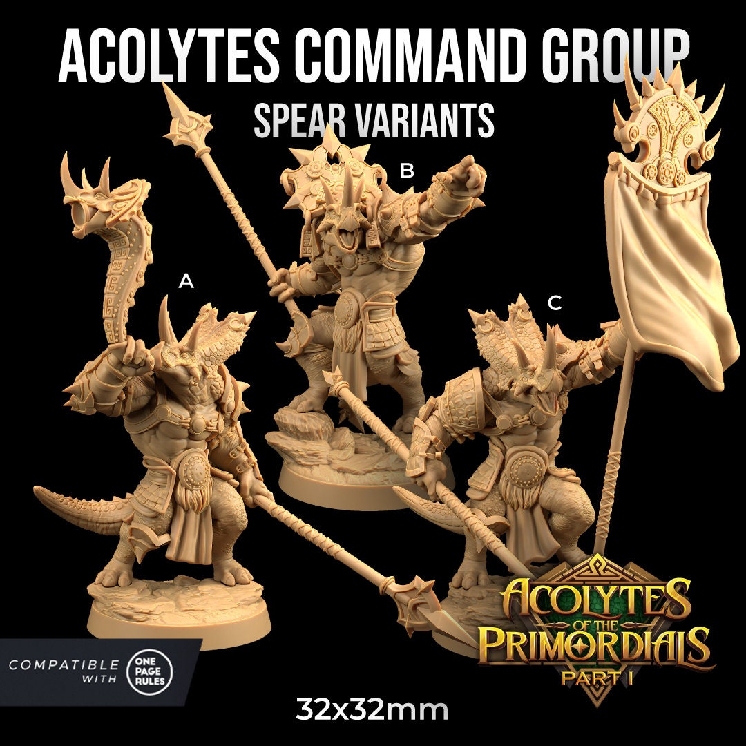 Acolytes of the Primordials Command Group by Dragon Trappers Lodge | Please Read Description