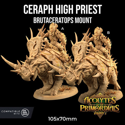 Ceraph High Priest by Dragon Trappers Lodge | Please Read Description