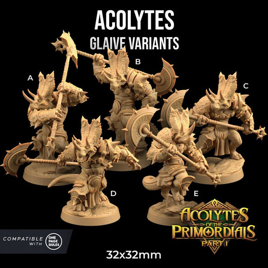 Acolytes of the Primordials by Dragon Trappers Lodge | Please Read Description
