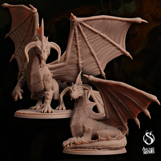 Young Black Dragon by Arcane Minis | Please Read Description