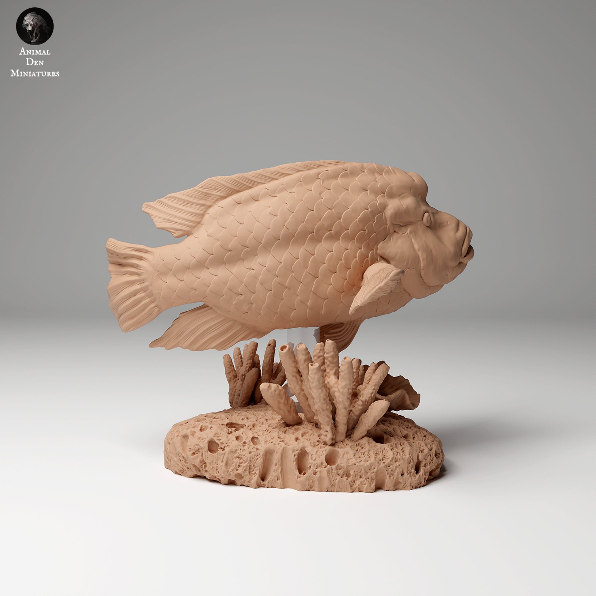 Humphead Wrasse 1:24 scale by Animal Den Miniatures | Please Read Description