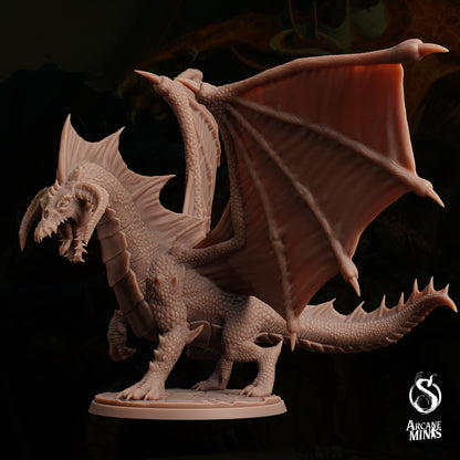 Young Black Dragon by Arcane Minis | Please Read Description