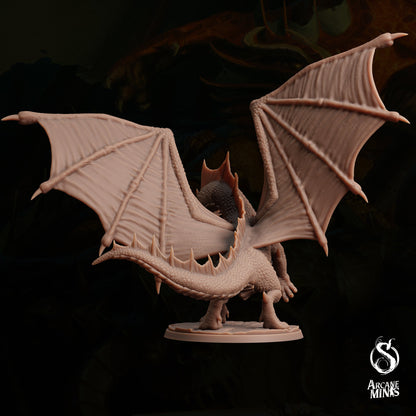 Young Black Dragon by Arcane Minis | Please Read Description