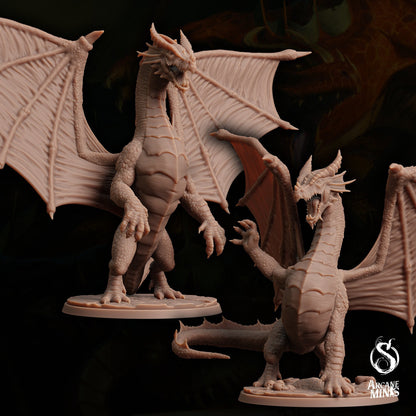 Young Red Dragon by Arcane Minis | Please Read Description