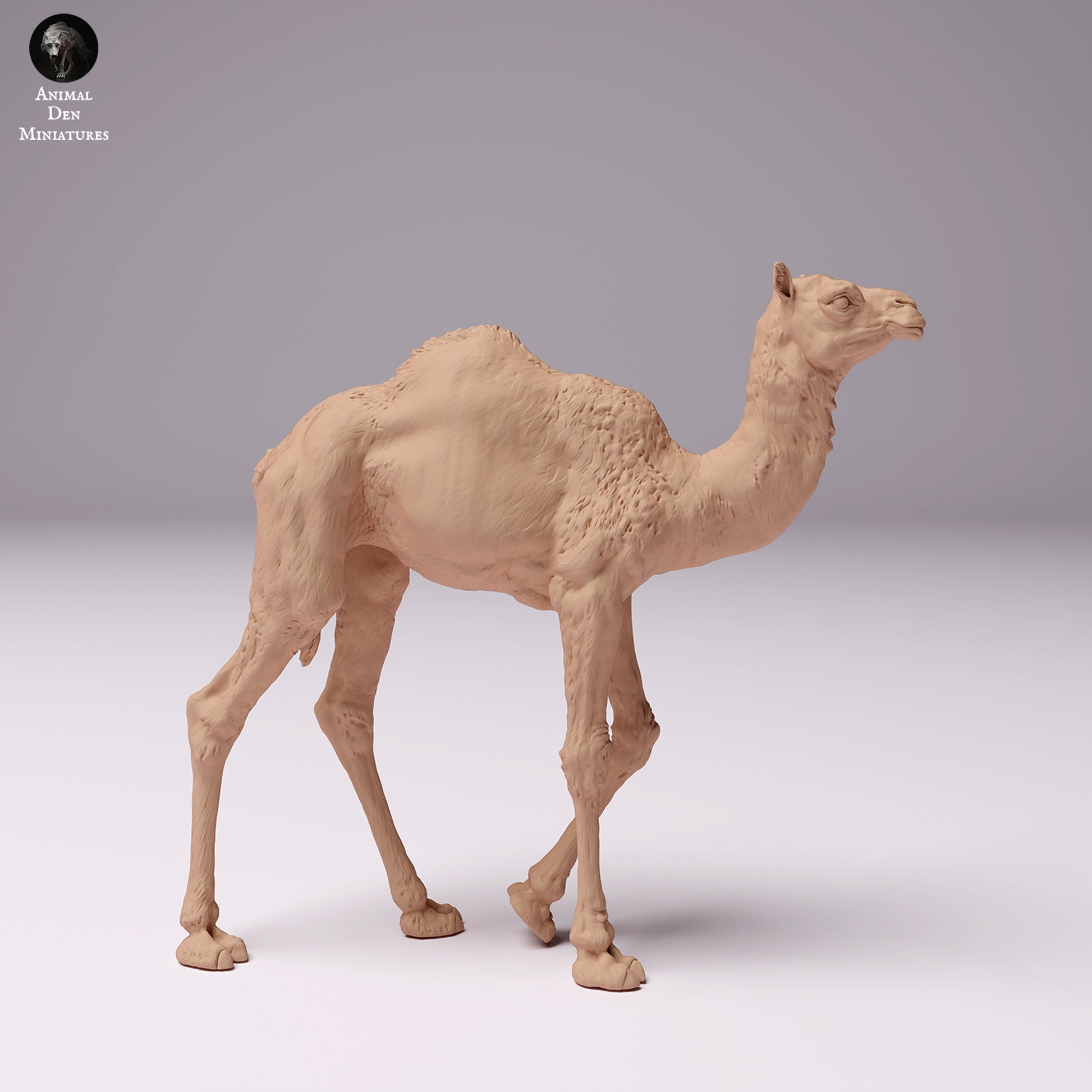 Dromedary Camels 1:24 scale by Animal Den Miniatures | Please Read Description | Print on Demand