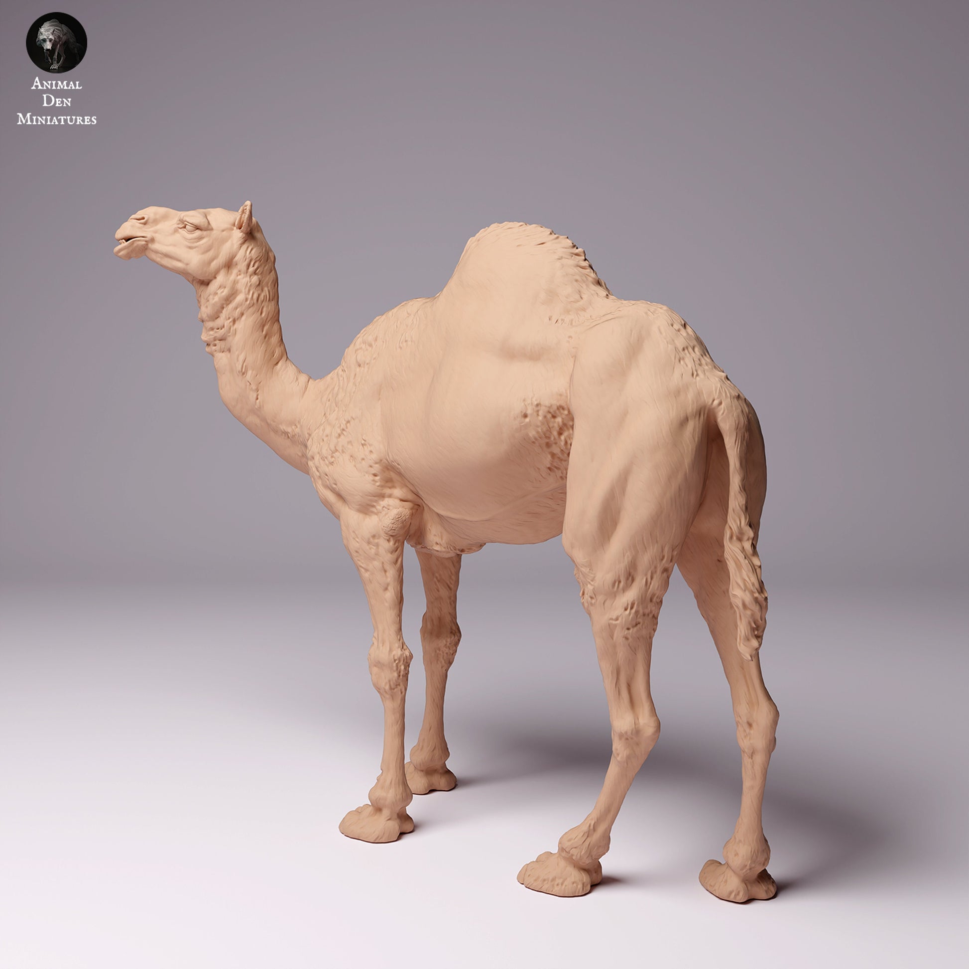 Dromedary Camels 1:24 scale by Animal Den Miniatures | Please Read Description | Print on Demand