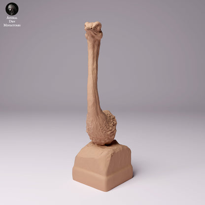 North African Ostriches 1:24 scale by Animal Den Miniatures | Please Read Description | Print on Demand