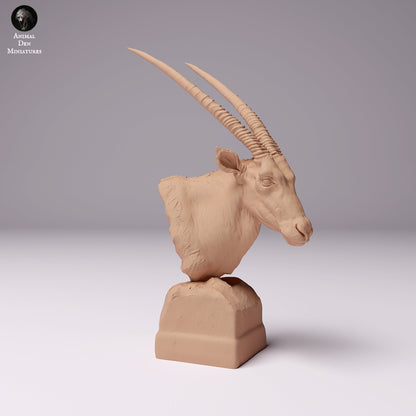 Gemsbok Bust 1:12 scale by Animal Den Miniatures | Please Read Description | Print on Demand