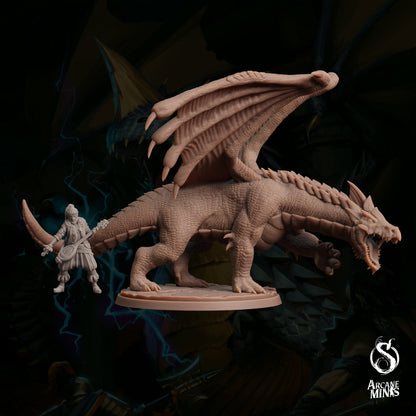 Young White Dragon by Arcane Minis | Please Read Description | Print on Demand