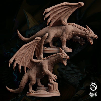 Young White Dragon by Arcane Minis | Please Read Description | Print on Demand