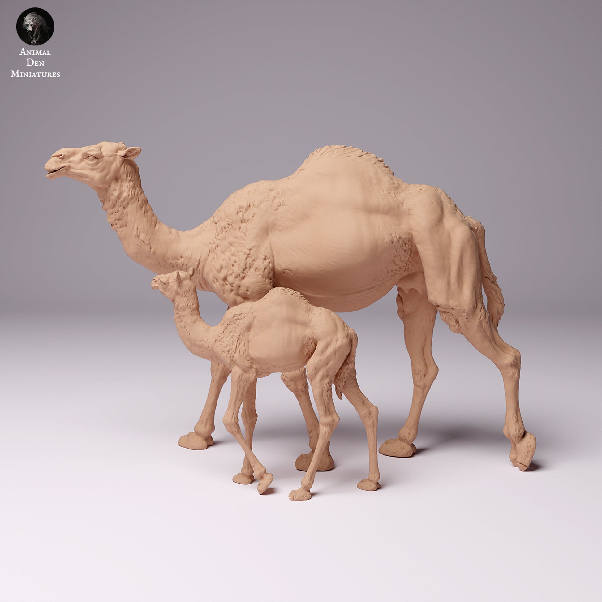 Dromedary Camels 1:24 scale by Animal Den Miniatures | Please Read Description | Print on Demand