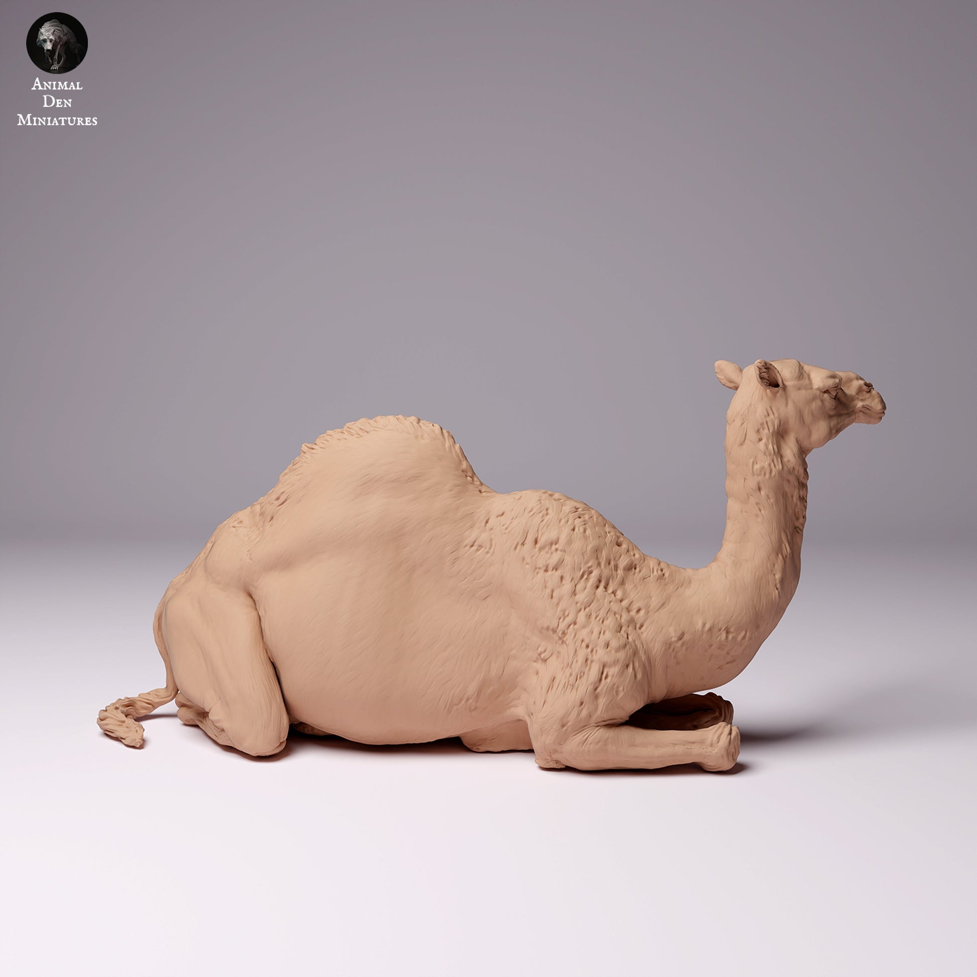 Dromedary Camels 1:24 scale by Animal Den Miniatures | Please Read Description | Print on Demand