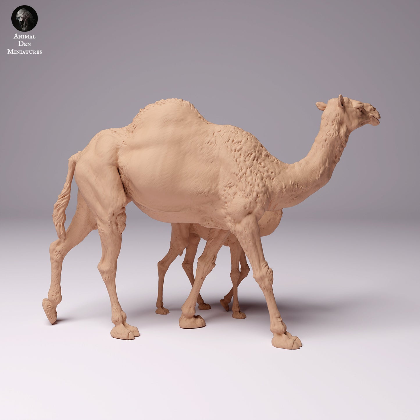 Dromedary Camels 1:24 scale by Animal Den Miniatures | Please Read Description | Print on Demand