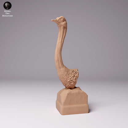 North African Ostriches 1:24 scale by Animal Den Miniatures | Please Read Description | Print on Demand