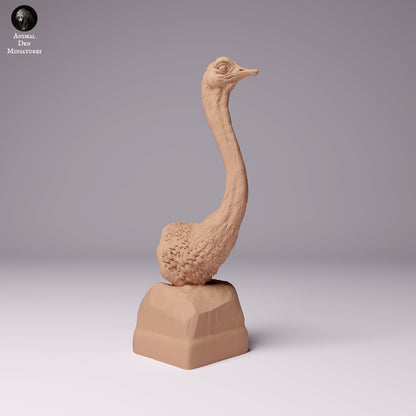 North African Ostriches 1:24 scale by Animal Den Miniatures | Please Read Description | Print on Demand