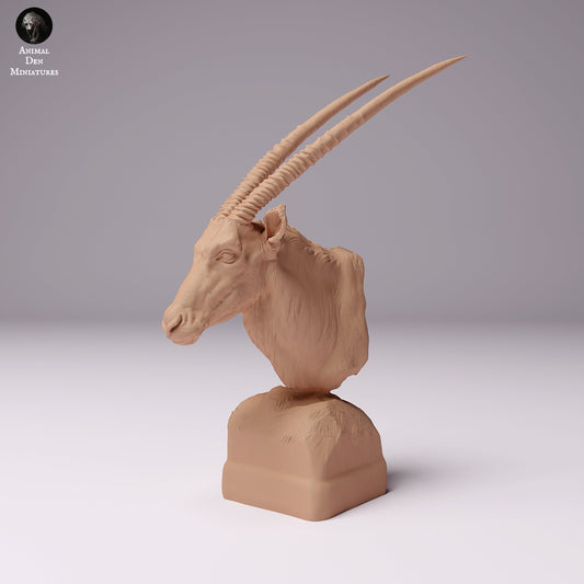 Gemsbok Bust 1:12 scale by Animal Den Miniatures | Please Read Description | Print on Demand