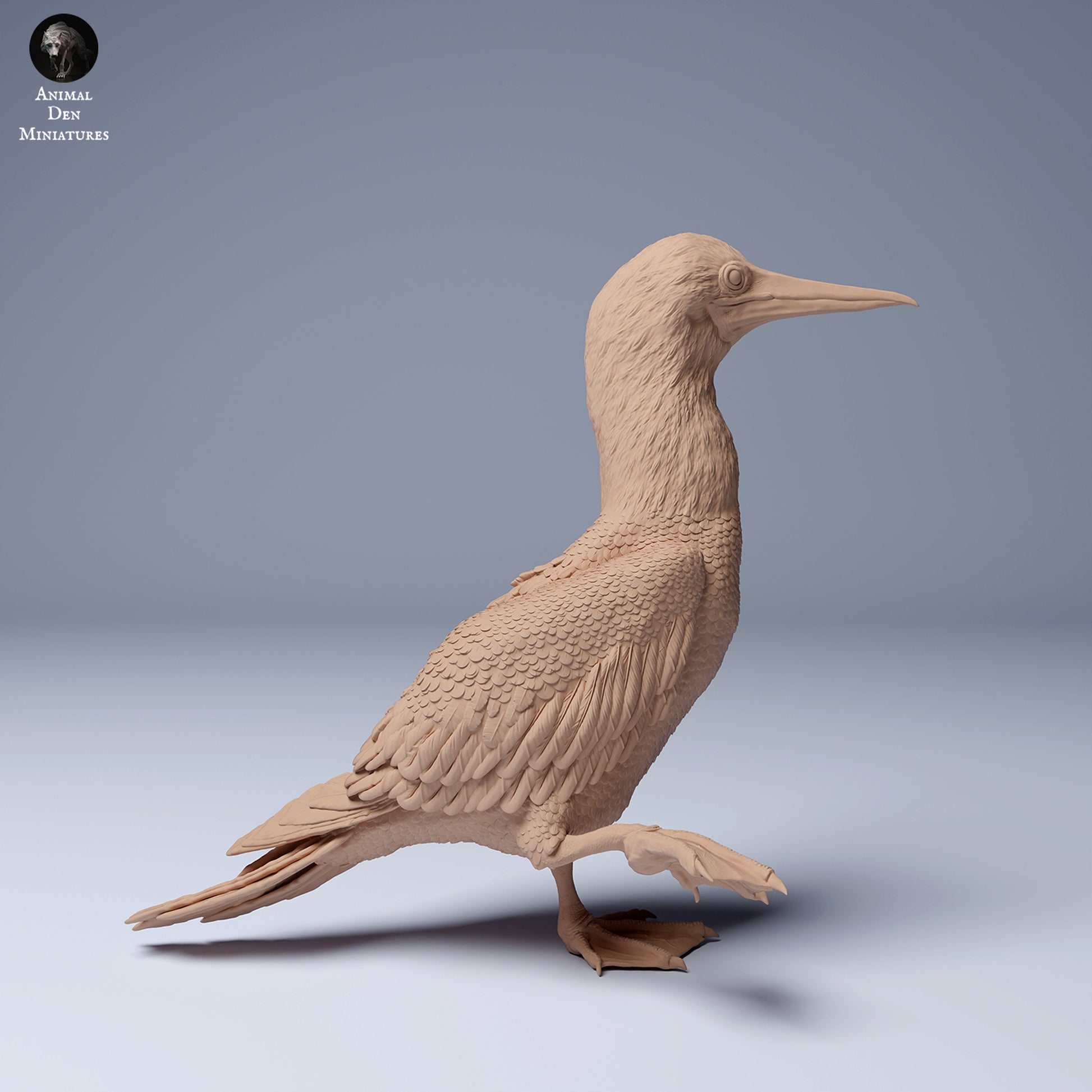 Blue Footed Booby 1:16 scale by Animal Den Miniatures | Please Read Description | Print on Demand